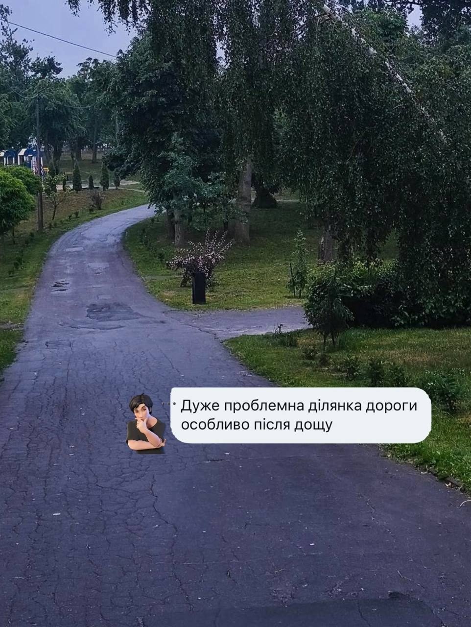 Нововолинці скаржаться на проблемну ділянку дороги в місцевому парку після дощу
