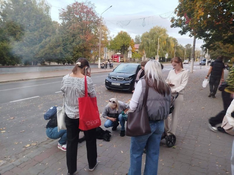 Підлітки на мотоциклах збили собаку на проспекті Перемоги в Нововолинську: пес у важкому стані