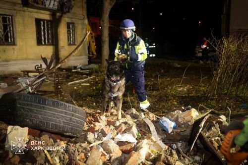 Кінолог ДСНС із собакою на місці удару по Харкову