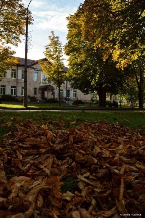 Осінній Нововолинськ