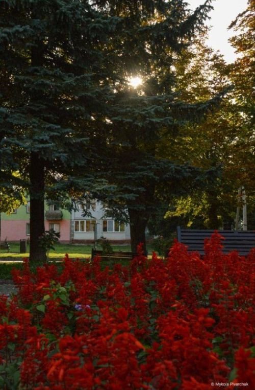 Осінній Нововолинськ