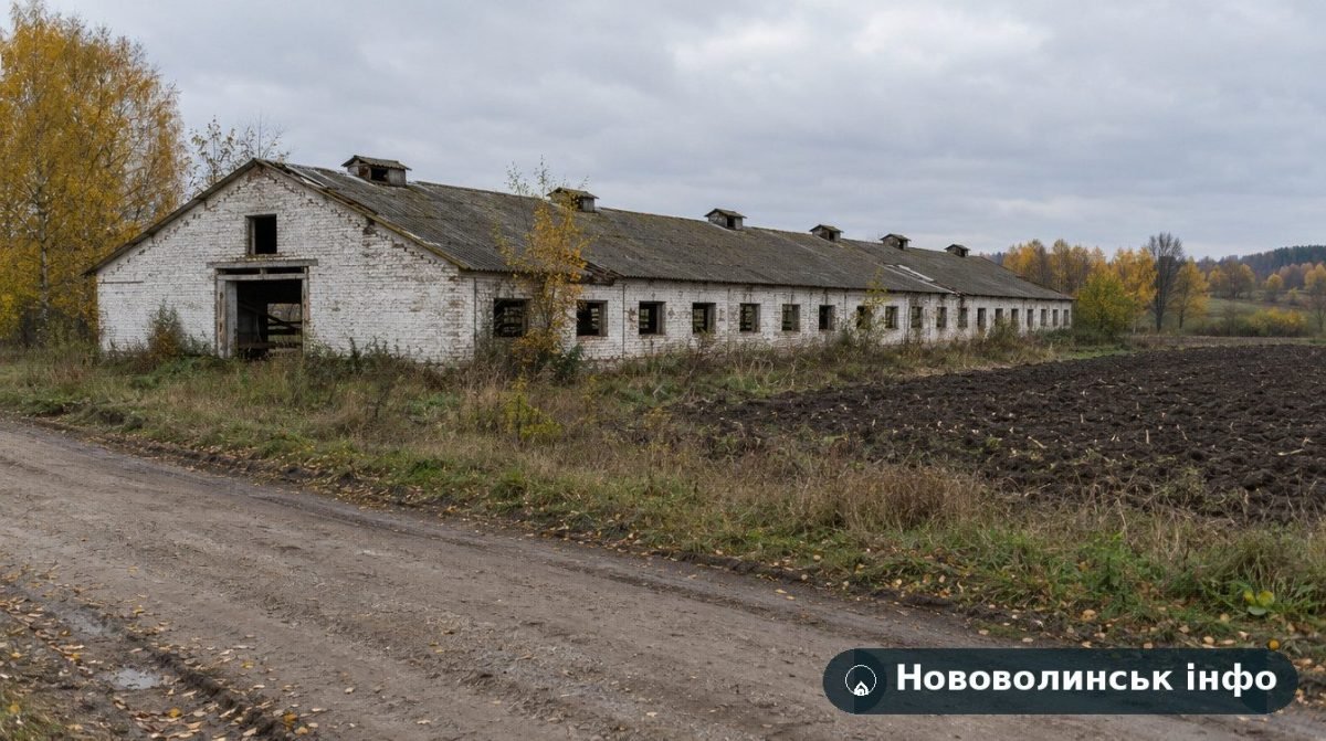 Біля Топільного на Волині хочуть звести птахофабрику на 200 тисяч курей: слухання 19 жовтня