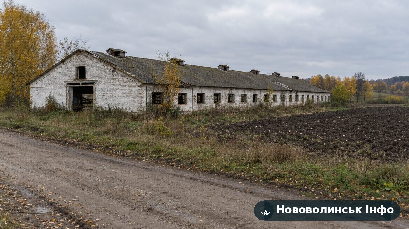 Біля Топільного на Волині хочуть звести птахофабрику на 200 тисяч курей: слухання 19 жовтня